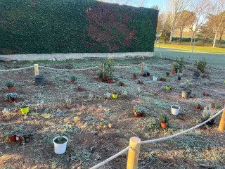 Talleres navideños y la creación de un ‘Oasis de Mariposas’ y el Hotel de Insectos Carbajosa