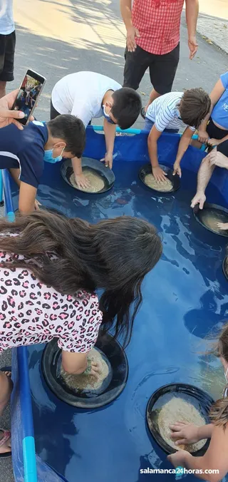 Bateo oro Juzbado (11)