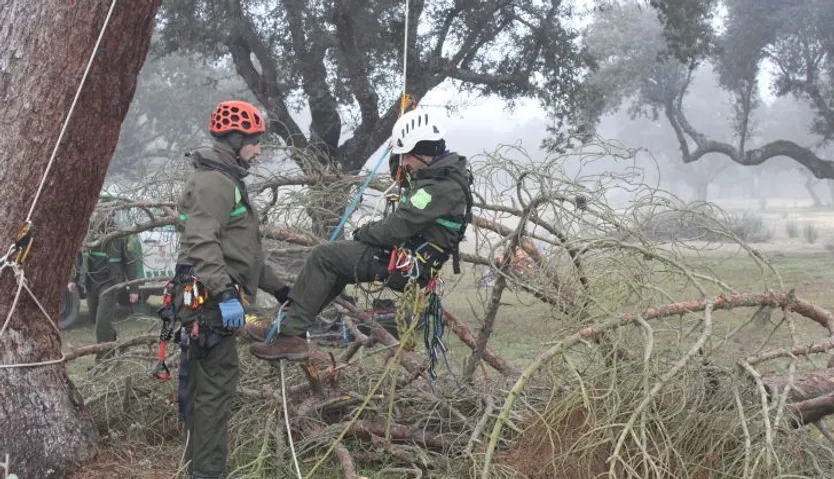 Grupo de Intervenciones en Altura, agentes medioambientales, reparación nido cigüeña negra en Espeja (80)