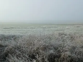 Helada y niebla en Pedraza de Alba. Foto de archivo