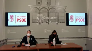 Foto R.P. Dipu. Mociones Nov 2020