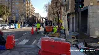 Obras paseo rollo (12)