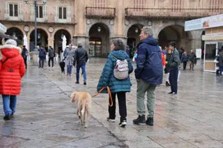 Gente paseando por las calles de Salamanca