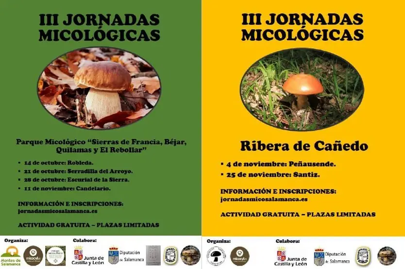 Imagen de WhatsApp 2023 10 06 a las 18.01.08