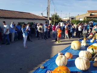 Concurso de calabazas Pelarrodriguez (20)