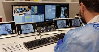 Fotografía: Dr. Luis A. Pérez-Romasanta
