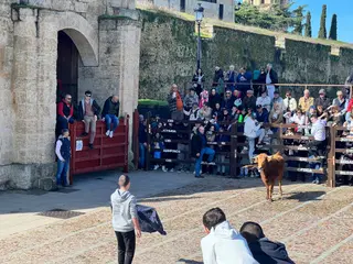 Domingo de piñata en Ciudad Rodrigo | S24H
