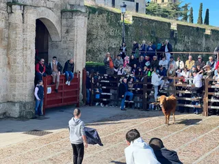 Domingo de piñata en Ciudad Rodrigo | S24H