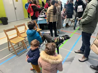 Las familias disfrutan del carnaval al son de los canes en Aldeatejada