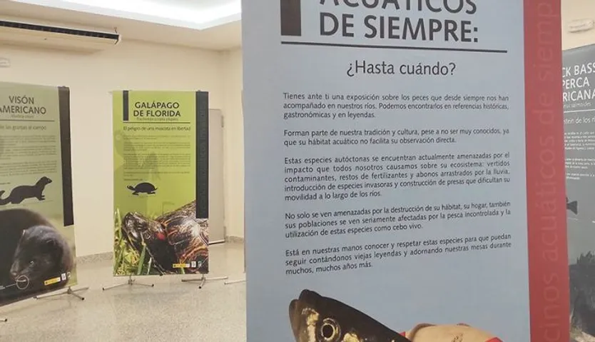 Exposición de animales acuáticos