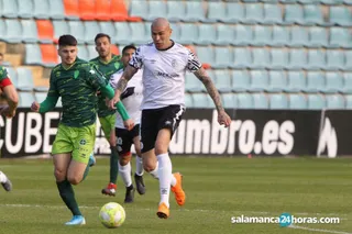 CHATÓN GUIJUELO