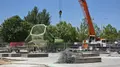 Instalación De La Rana En El Parque De Würzburg
