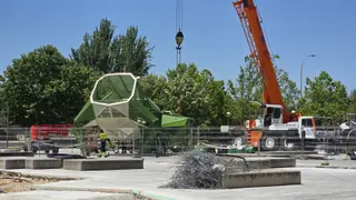 Instalación De La Rana En El Parque De Würzburg