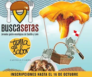 Cartel.BuscaSetas2