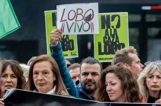 Decenas de personas durante la concentración ‘Salvar al lobo ibérico’, en la Plaza de Callao, a 5 de abril de 2025, en Madrid (España).