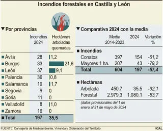 FS | Incendios forestales en Castilla y León