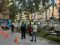 Una gran rama cae durante la poda y golpea a un hombre en Salamanca