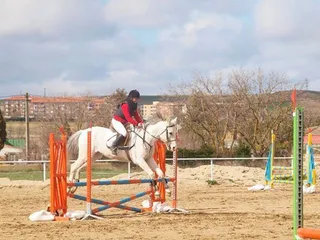 Liga Interclub Saltos (16)