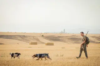 Inicio de la media veda en Castilla y León (Segovia). Foto ICAL. (18)