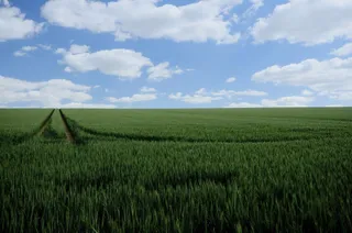 Agricultura abona el anticipo de la PAC más rápido de la historia, con más de 217 millones de euros. - GOBIERNO DE ARAGÓN