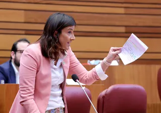 Ana Sánchez PSOE Cortes. Foto de archivo EP