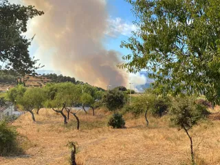 Incendio Saucelle 8 (3)