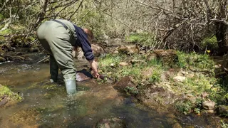 Muestreos biológicos en la cuenca del Duero