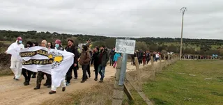 Salamanca Antinuclear y Stop Uranio organizan una bellotada contra la mina de uranio de Retortillo