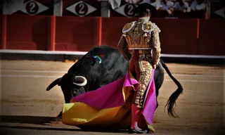 Cruzar el puente