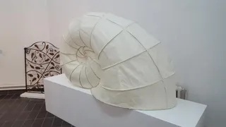 Exposición de proyectos finales de los alumnos de la Escuela de Bellas Artes