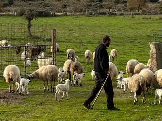 Juan Antonio Sánchez Cuadrado, pastor en Pereña de la Ribera
