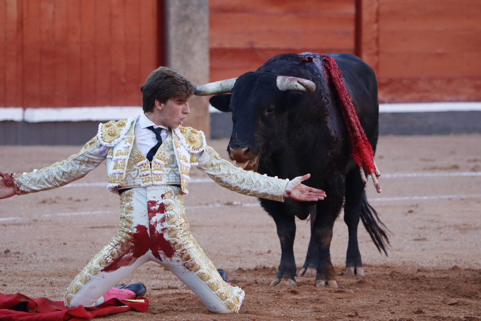 Julio Norte en el toro de su presentaci&oacute;n en Salamanca | Asier Galache