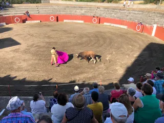Novillada en Pereña de la Ribera 2021
