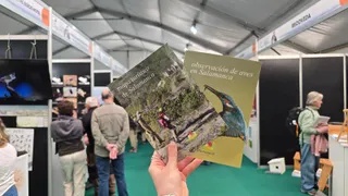 Salamanca en FIO 2026 | S24H