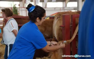 SANEAMIENTO GANADERO