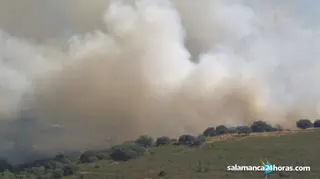 Incendio soto