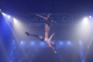 Stellar Circus