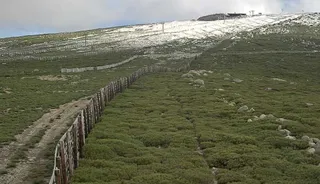 Nieve en el cerrojo, la covatilla