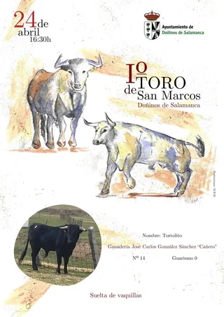 I Toro de San Marcos