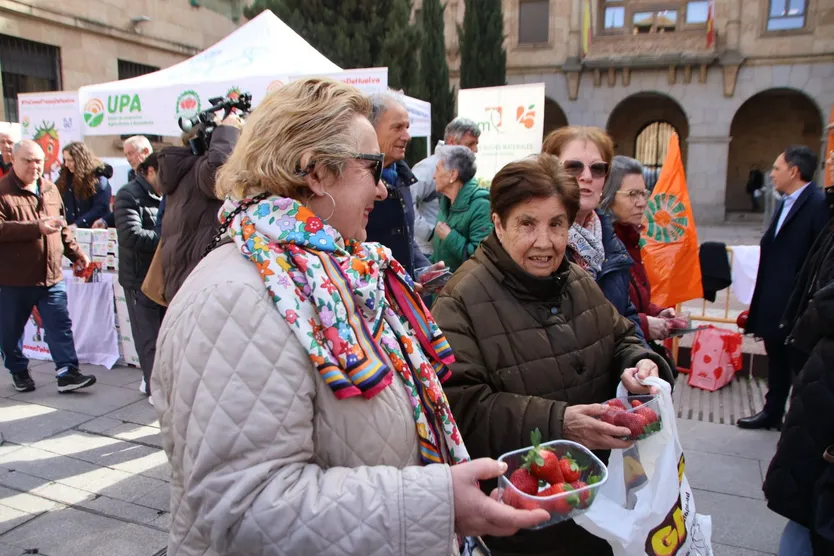 Colas interminables en Gran Vía por el reparto gratuito de fresas en Salamanca