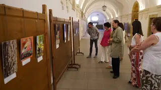 La comunidad de la UPSA plasma la resiliencia en el certamen fotográfico del COF