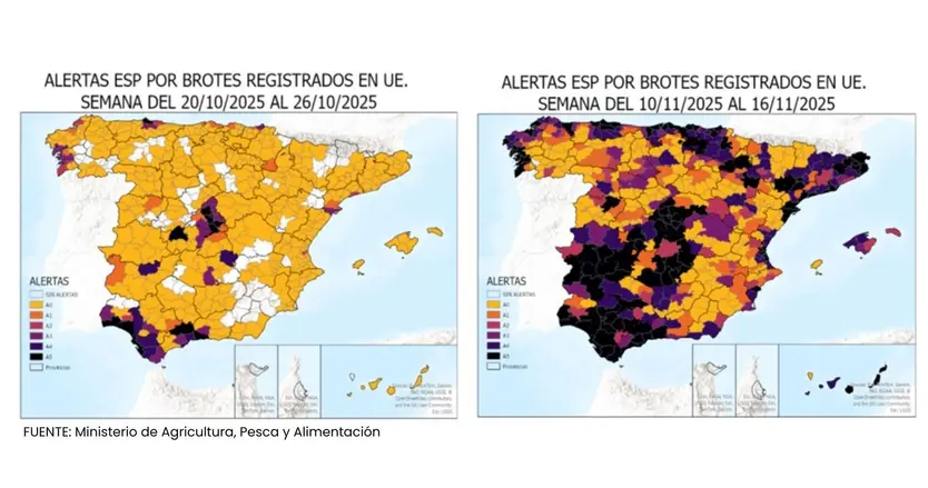 Situación de la gripe aviar en España a 13 de noviembre de 2025