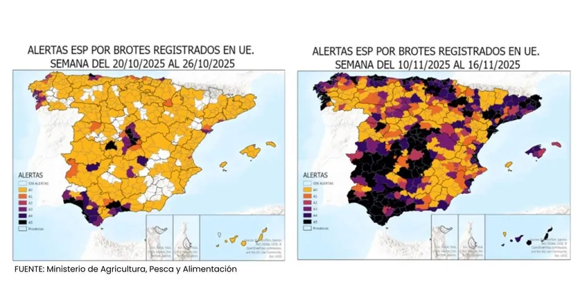 Situación de la gripe aviar en España a 13 de noviembre de 2025