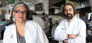 Ana Fernández Sesma y Adolfo García Sastre