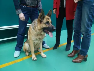 Pepo