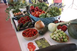 imagen archivo, huertos, bio, agricultura