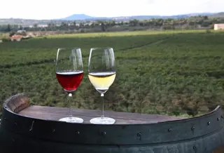 Una copa de vino tinto y otra de vino blanco frente a un viñedo. - CAIB - Archivo
