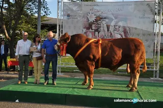 Salamaq entrega de premios (44)