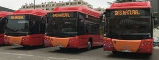 1506102047595ZP BUSdn