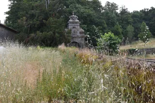 La llamada Huerta nueva de 1583, de El Bosque de Béjar sobre el paseadero norte del estanque, completamente invadida de altas herbáceas. | PD El Bosque de Béjar